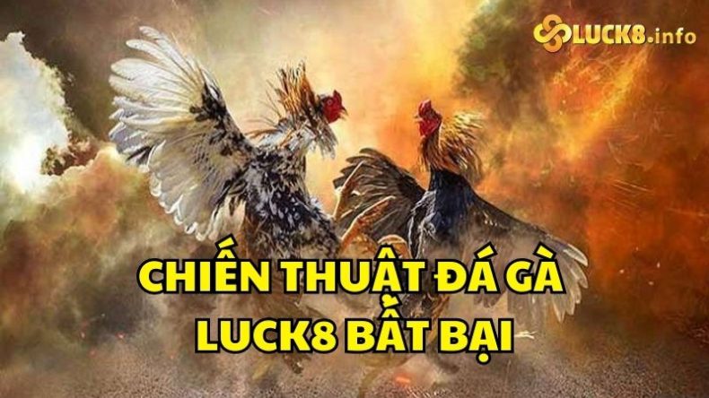 Chiến thuật đá gà Luck8 bất bại từ chuyên gia nhà cái